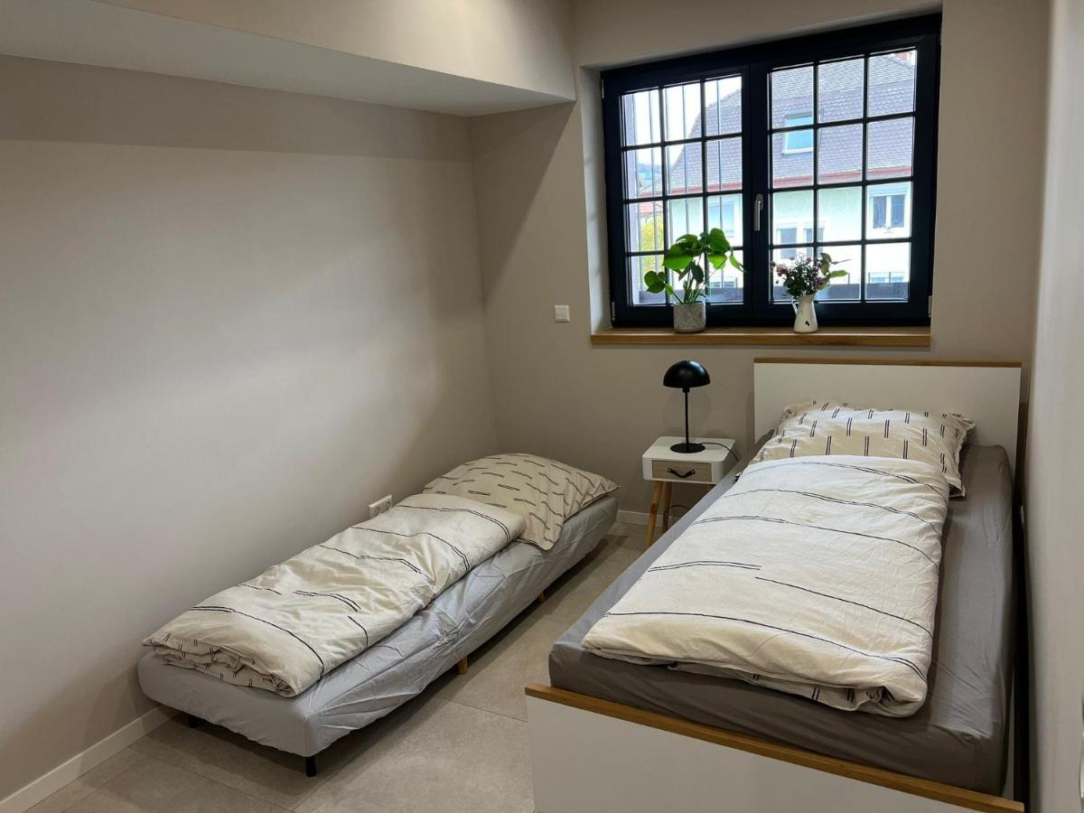 Fewo Brombach - Neubau Im Loft-Style Eg1 Lörrach Zewnętrze zdjęcie